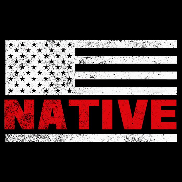 Native American Flag Button