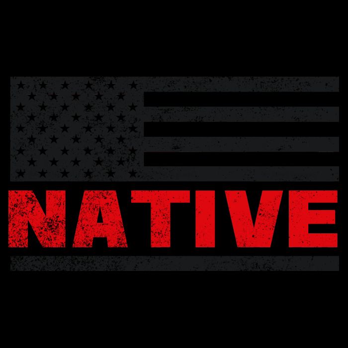 Native American Flag Mug