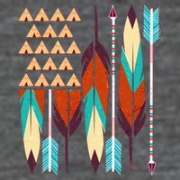 Native American Flag Feathers and Arrows Wool Snapback Cap