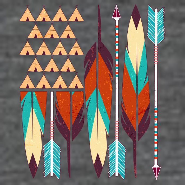Native American Flag Feathers and Arrows Wool Snapback Cap