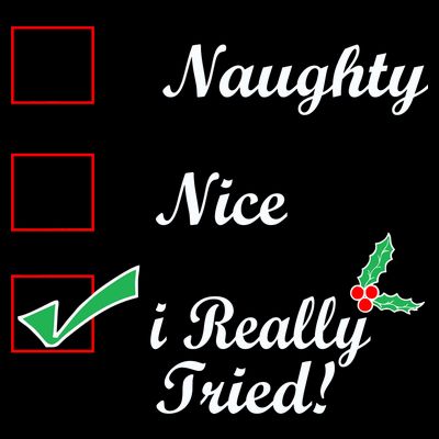 Naughty Nice I Really Tried Checklist T-Shirt