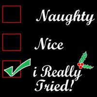 Naughty Nice I Really Tried Checklist Tall T-Shirt