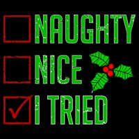 Naughty Nice I Tried Christmas T-Shirt