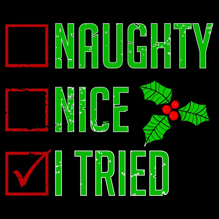 Naughty Nice I Tried Christmas T-Shirt