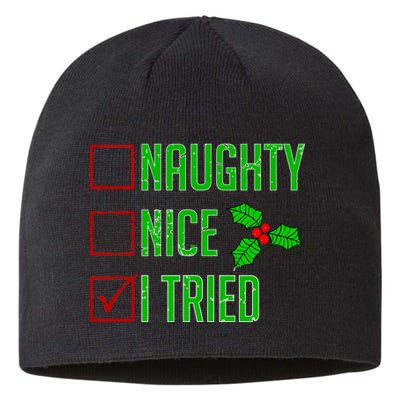 Naughty Nice I Tried Christmas Sustainable Beanie