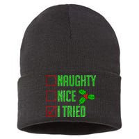 Naughty Nice I Tried Christmas Sustainable Knit Beanie