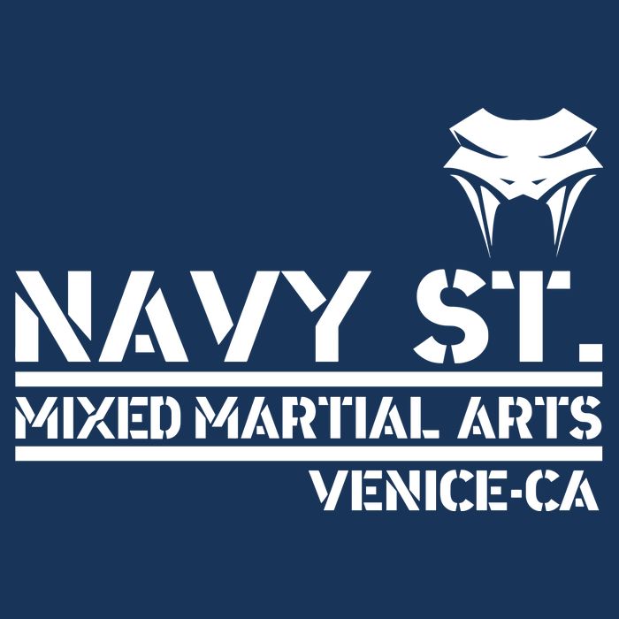 Navy St Mix Martial Arts Venice California Snake Logo V-Neck T-Shirt