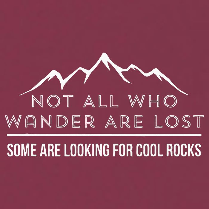 Not All Who Wander Are Lost Some Are Looking For Cool Rocks 16oz Travel Tumbler