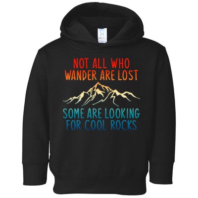 Not All Who Wander Are Lost Some Are Looking For Cool Rocks Toddler Hoodie