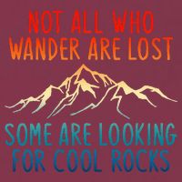 Not All Who Wander Are Lost Some Are Looking For Cool Rocks 16oz Travel Tumbler