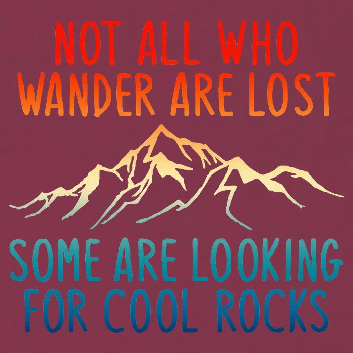 Not All Who Wander Are Lost Some Are Looking For Cool Rocks 16oz Travel Tumbler