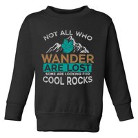 Not All Who Wander Are Lost Some Are Looking For Cool Rocks Toddler Sweatshirt