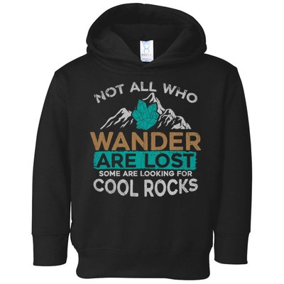 Not All Who Wander Are Lost Some Are Looking For Cool Rocks Toddler Hoodie