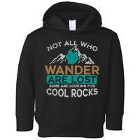 Not All Who Wander Are Lost Some Are Looking For Cool Rocks Toddler Hoodie