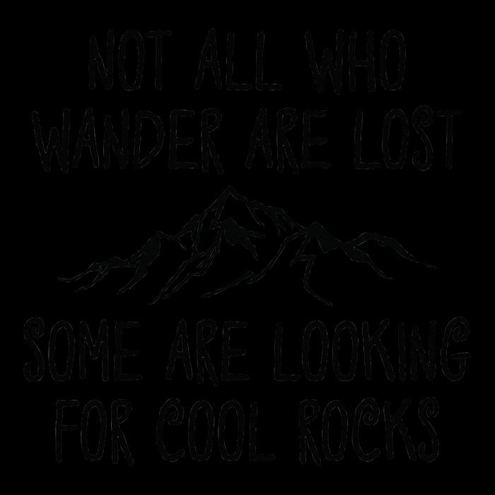 Not All Who Wander Are Lost Some Are Looking For Cool Rocks 16oz Travel Tumbler