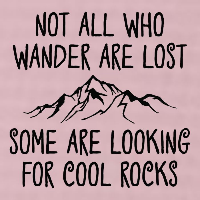 Not All Who Wander Are Lost Some Are Looking For Cool Rocks 25L Jumbo Tote