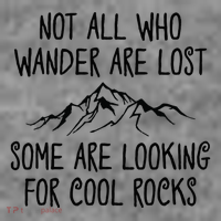 Not All Who Wander Are Lost Some Are Looking For Cool Rocks Tall Sweatshirt
