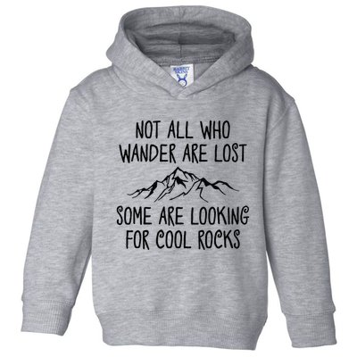 Not All Who Wander Are Lost Some Are Looking For Cool Rocks Toddler Hoodie