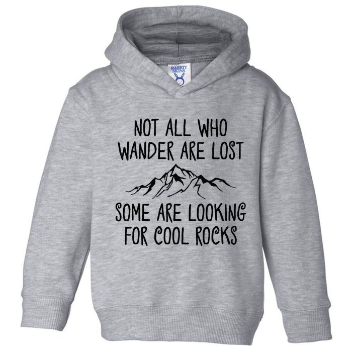 Not All Who Wander Are Lost Some Are Looking For Cool Rocks Toddler Hoodie