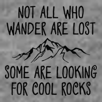 Not All Who Wander Are Lost Some Are Looking For Cool Rocks Toddler Hoodie