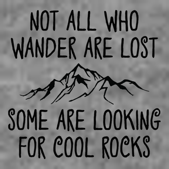 Not All Who Wander Are Lost Some Are Looking For Cool Rocks Toddler Hoodie