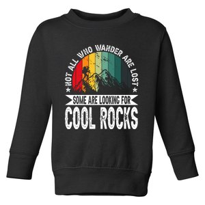 Not All Who Wander Are Lost Some Are Looking For Cool Rocks Toddler Sweatshirt