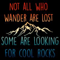Not All Who Wander Are Lost Some Are Looking For Cool Rocks Kids T-Shirt