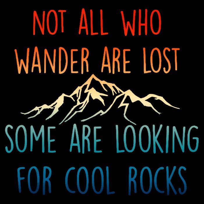 Not All Who Wander Are Lost Some Are Looking For Cool Rocks Kids T-Shirt