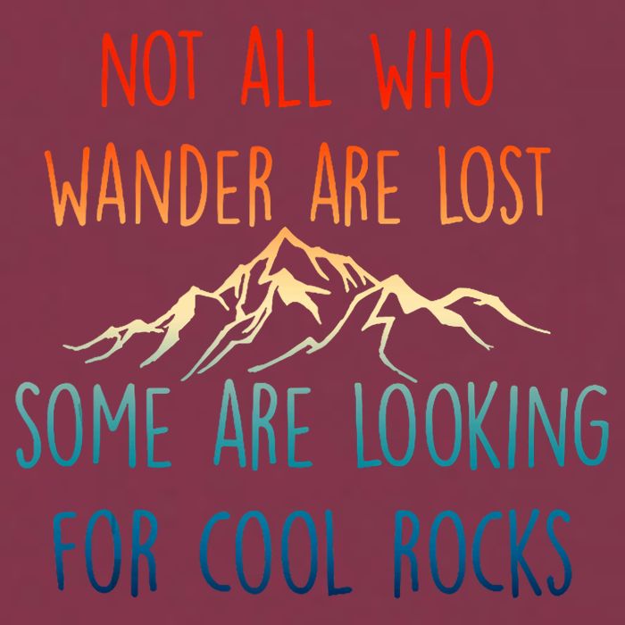 Not All Who Wander Are Lost Some Are Looking For Cool Rocks 16oz Travel Tumbler