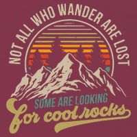 Not All Who Wander Are Lost Some Are Looking For Cool Rocks 16oz Travel Tumbler