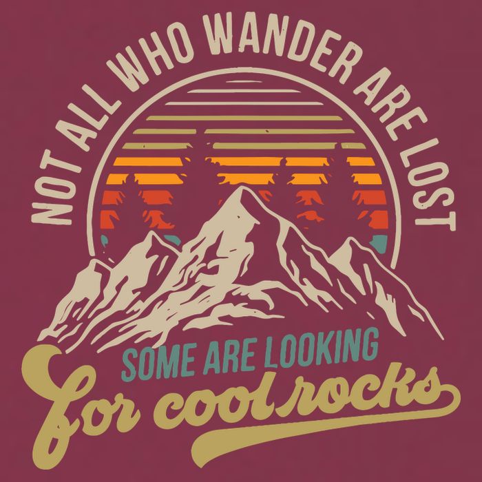 Not All Who Wander Are Lost Some Are Looking For Cool Rocks 16oz Travel Tumbler
