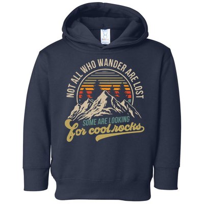 Not All Who Wander Are Lost Some Are Looking For Cool Rocks Toddler Hoodie