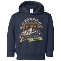 Not All Who Wander Are Lost Some Are Looking For Cool Rocks Toddler Hoodie