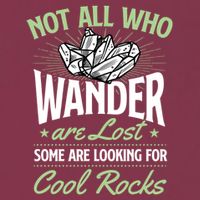Not All Who Wander Are Lost Some Are Looking For Cool Rocks 16oz Travel Tumbler