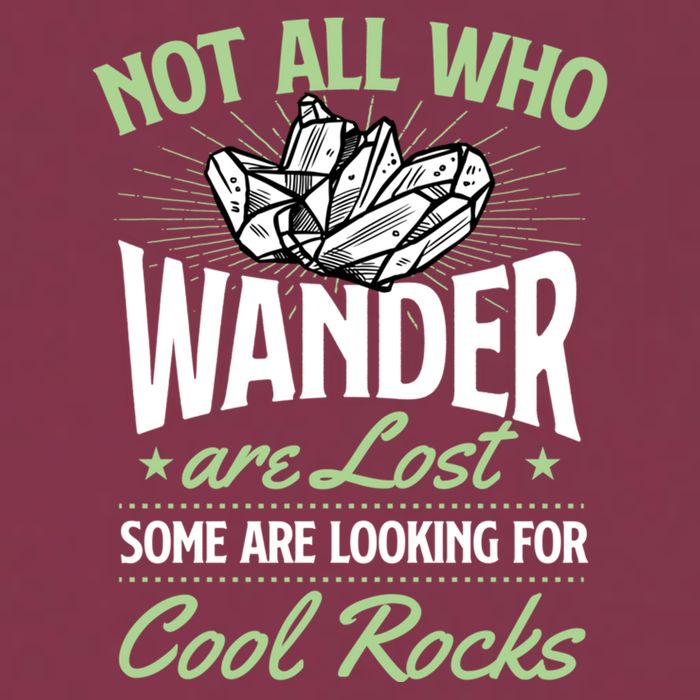 Not All Who Wander Are Lost Some Are Looking For Cool Rocks 16oz Travel Tumbler