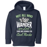 Not All Who Wander Are Lost Some Are Looking For Cool Rocks Toddler Hoodie