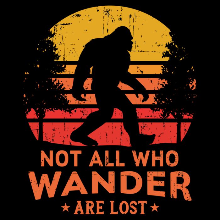 Not All Who Wander Are Lost Bigfoot Design Youth Performance Sprint T-Shirt