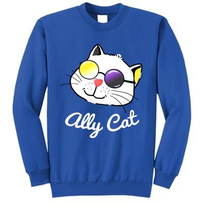 Non Binary Ally Pride Cat Sunglasses Lgbtq Nonbinary Flag Gift Tall Sweatshirt