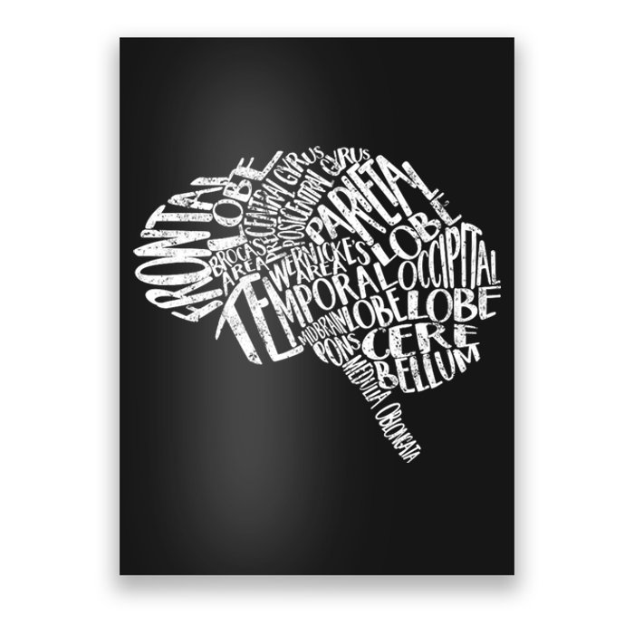 Neurology Brain Anatomy Typography Rn Neuroscience Nurse Neurologist Poster