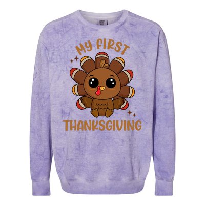 New Born Baby My First Thanksgiving Cute Colorblast Crewneck Sweatshirt