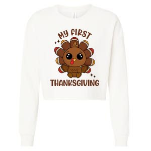 New Born Baby My First Thanksgiving Cute Cropped Pullover Crew