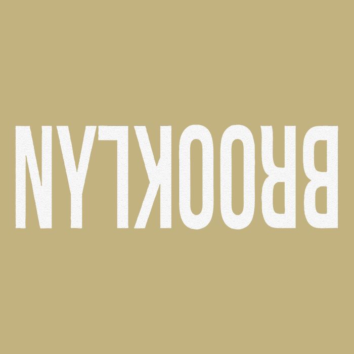 NY Brooklyn Creative Flip Design For New York Fans Funny Hoodie