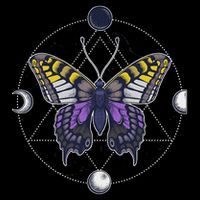 Nonbinary Butterfly Enby Pride Flag Lgbt Subtle Transgender Poster
