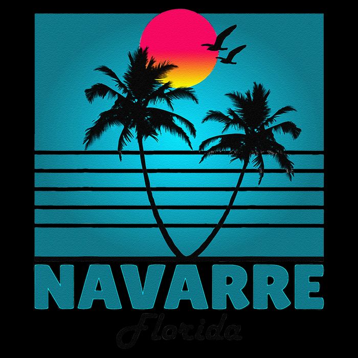 Navarre Beach Florida Fl Summer Seagulls Souvenirs 16 in Basic Backpack