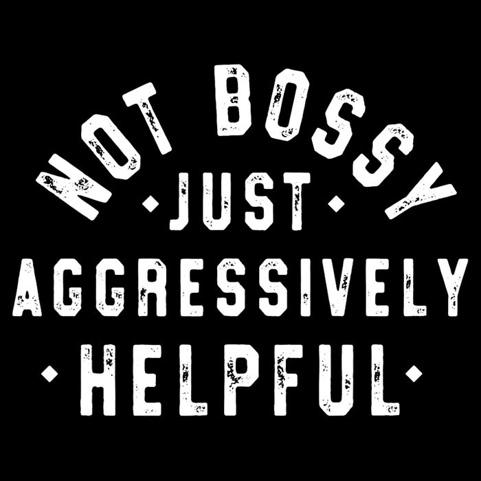 Not Bossy Just Aggressively Helpful Funny Stripe Pom Pom Beanie