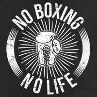 No Boxing No Life Adult Drive Performance Visor