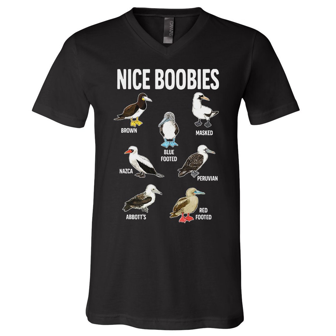 Nice Boobies Pun Adult Joke Funny Bird Lover Birdwatcher V-Neck T-Shirt