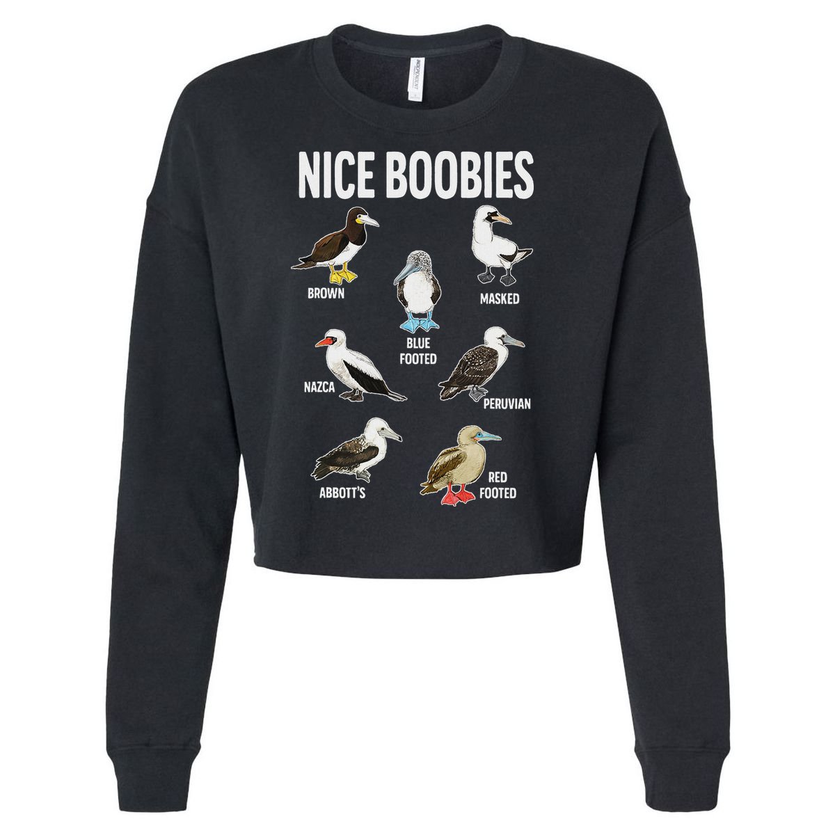 Nice Boobies Pun Adult Joke Funny Bird Lover Birdwatcher Cropped Pullover Crew