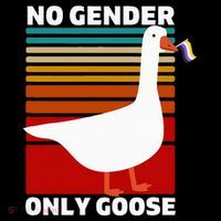 Non Binary Pride Funny No Gender Only Goose Lgbtq Enby Flag T-Shirt