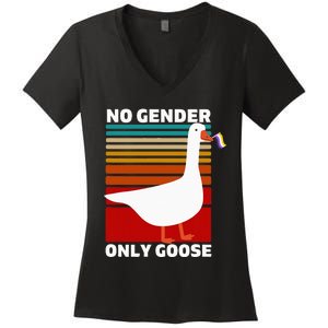 Non Binary Pride Funny No Gender Only Goose Lgbtq Enby Flag Women's V-Neck T-Shirt